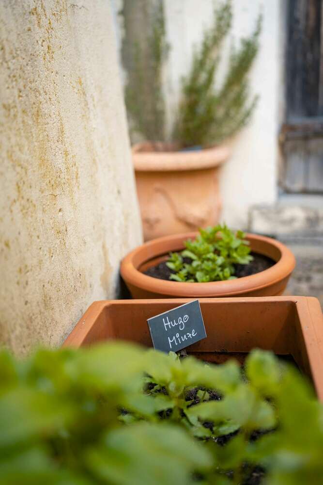 Basti Heckl - Photography & Social Media