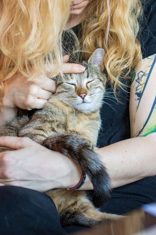Rebecca Lenz Fotografie