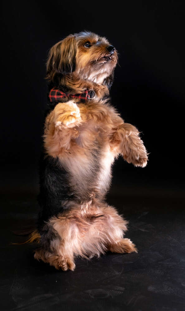 Markus Schaller Photography (Markus Schaller Photography)