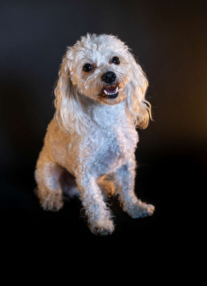 Markus Schaller Photography (Markus Schaller Photography)