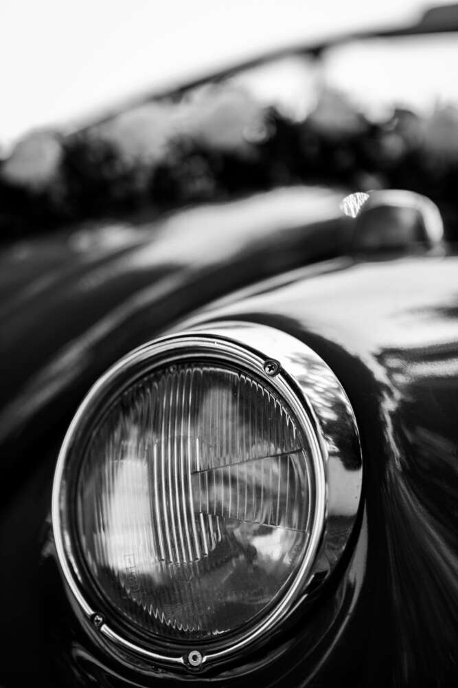 Markus Schaller Photography (Markus Schaller Photography)