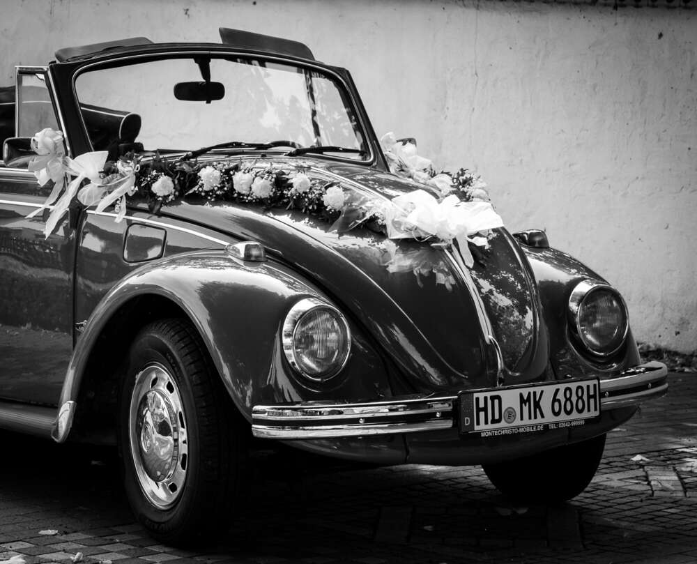 Markus Schaller Photography (Markus Schaller Photography)