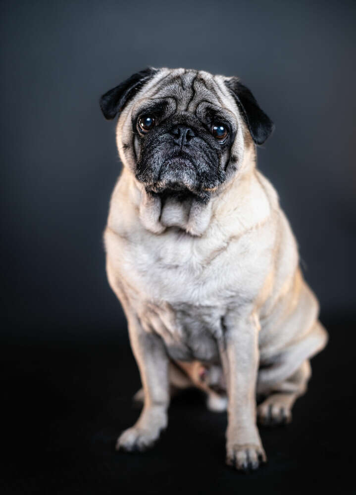 Markus Schaller Photography (Markus Schaller Photography)