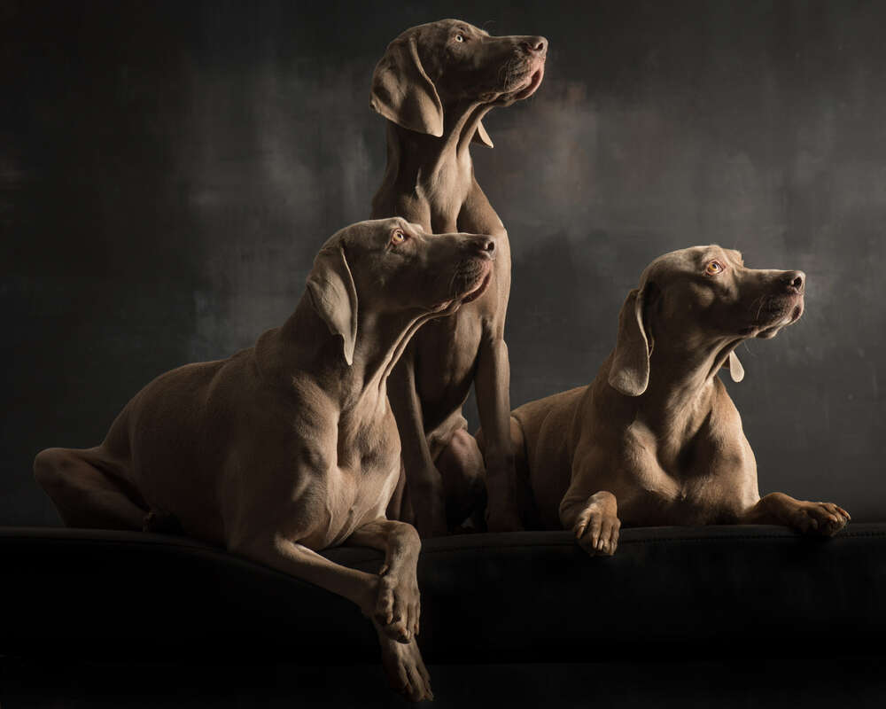 Paul Croes Photography