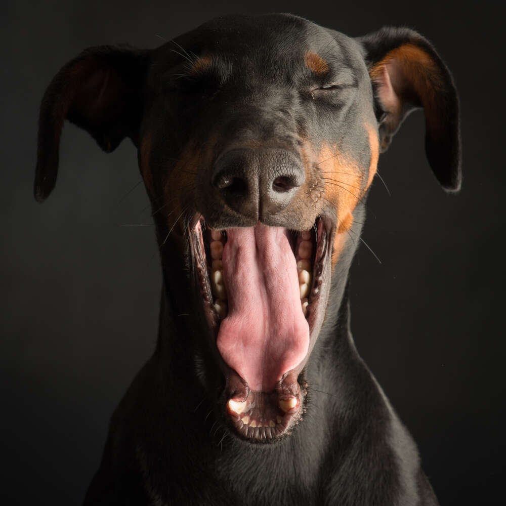 Paul Croes Photography