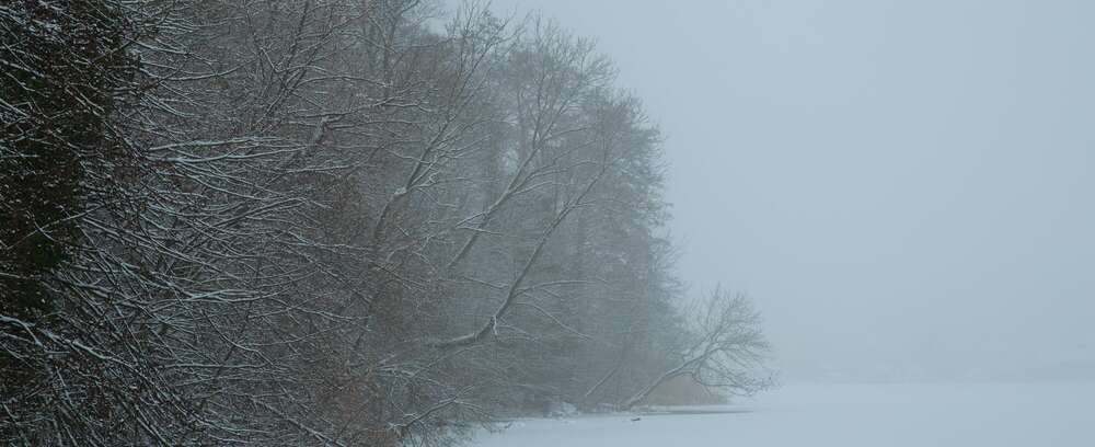 hoffmann-photographien