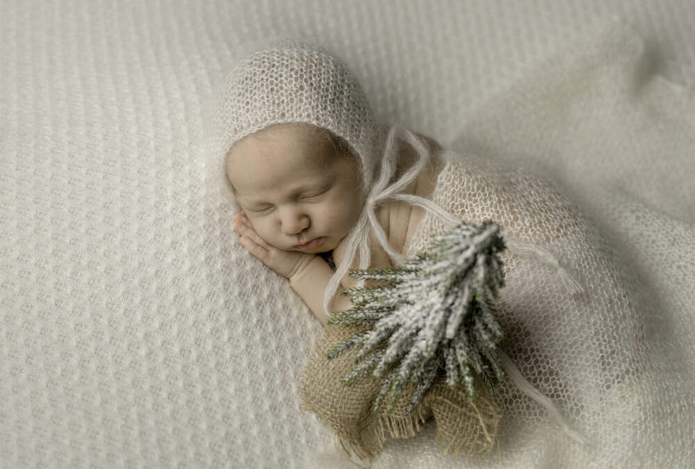 Swetlana Pracht Fotografie (Swetlana Pracht Fotografie)