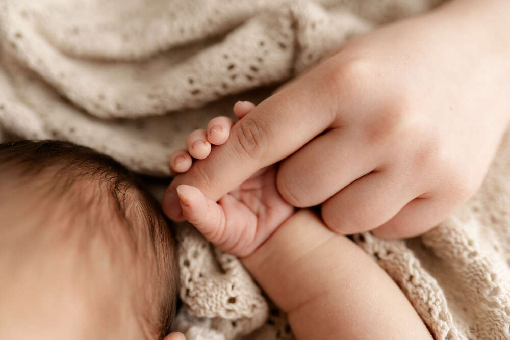 Anke Hartl Fotografie (Anke Hartl Fotografie)