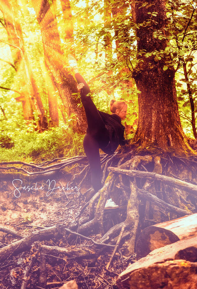 The Photographer Foto Dreher