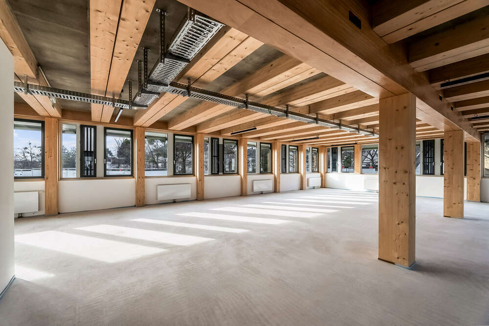 Architektur / Immobilien