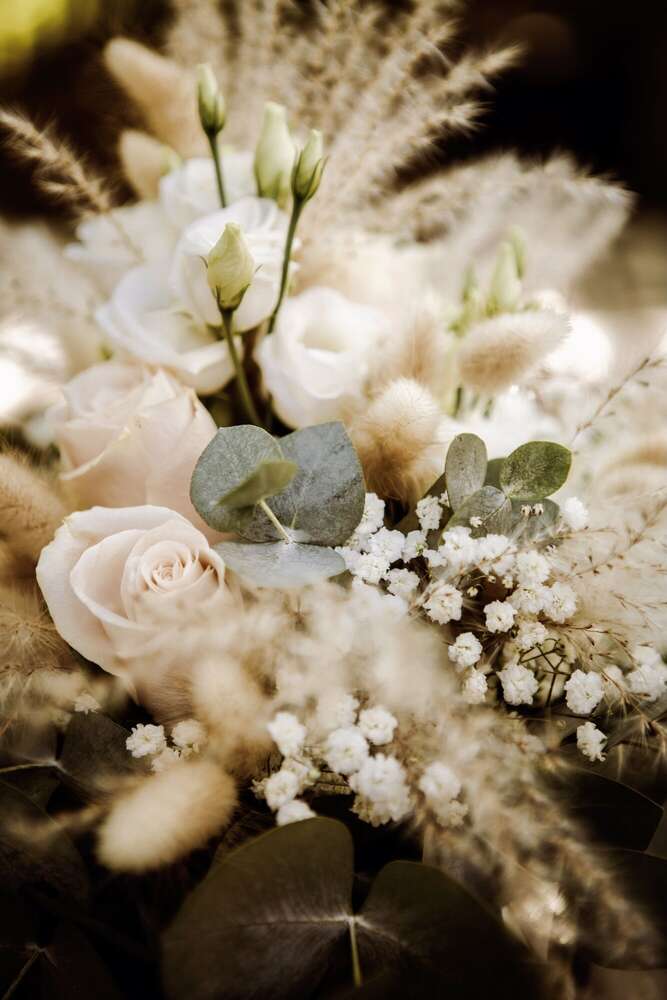 Anja Khoury Fotografie