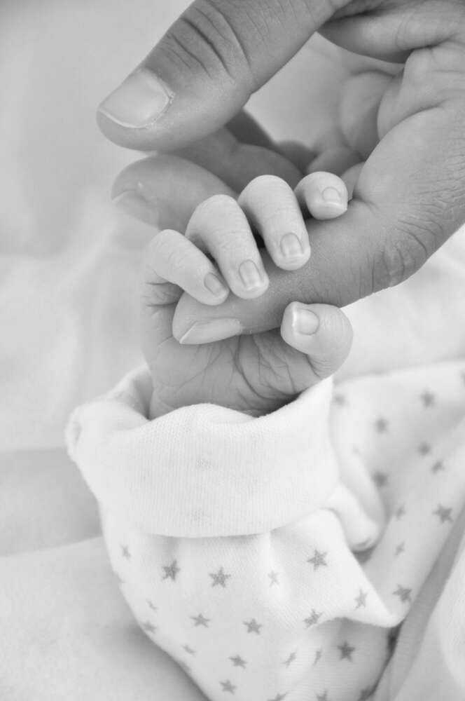 Familienaufnahmen (Licht & Fotografie)