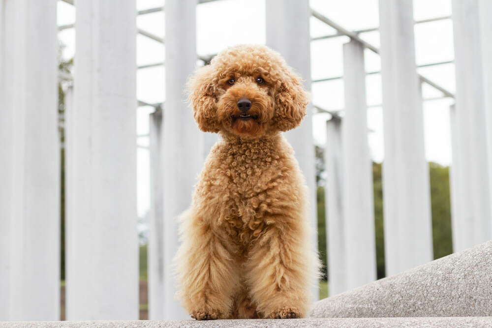 Au&szlig;ergew&ouml;hnliche Architektur (MMM Photography)