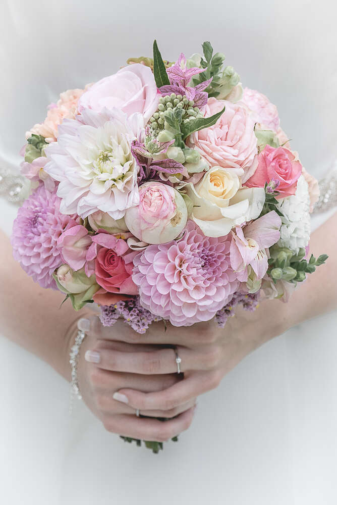 Seider Fotodesign (Seider Fotodesign)