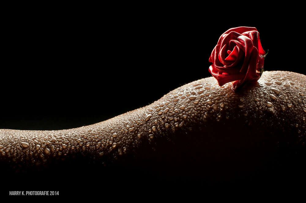 Bodyparts  (HarryK Fotografie)