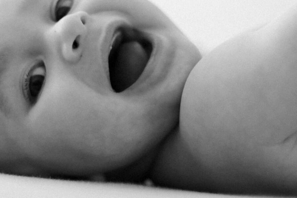 Mini Me Fotografie (Mini Me Fotografie)