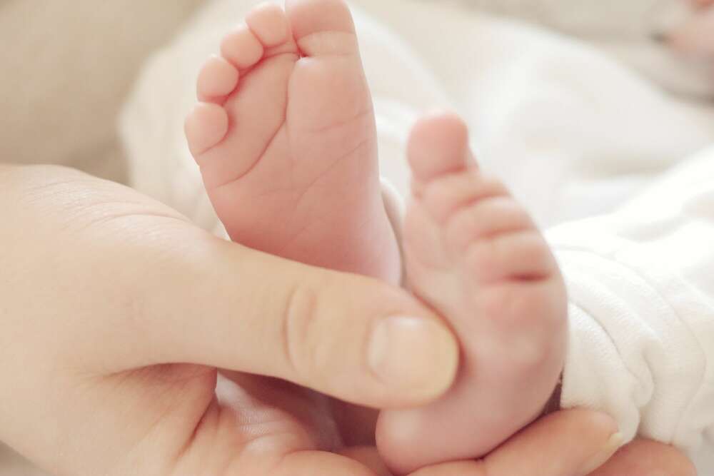 Mini Me Fotografie (Mini Me Fotografie)