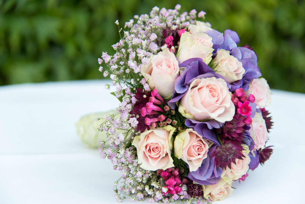 TMScherzer Fotografie (TMScherzer Fotografie)