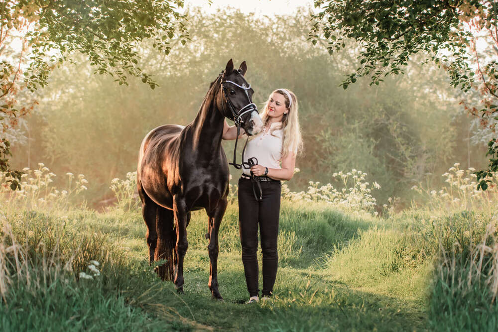 Pferdefotografie Emsland (Angela Raveling)