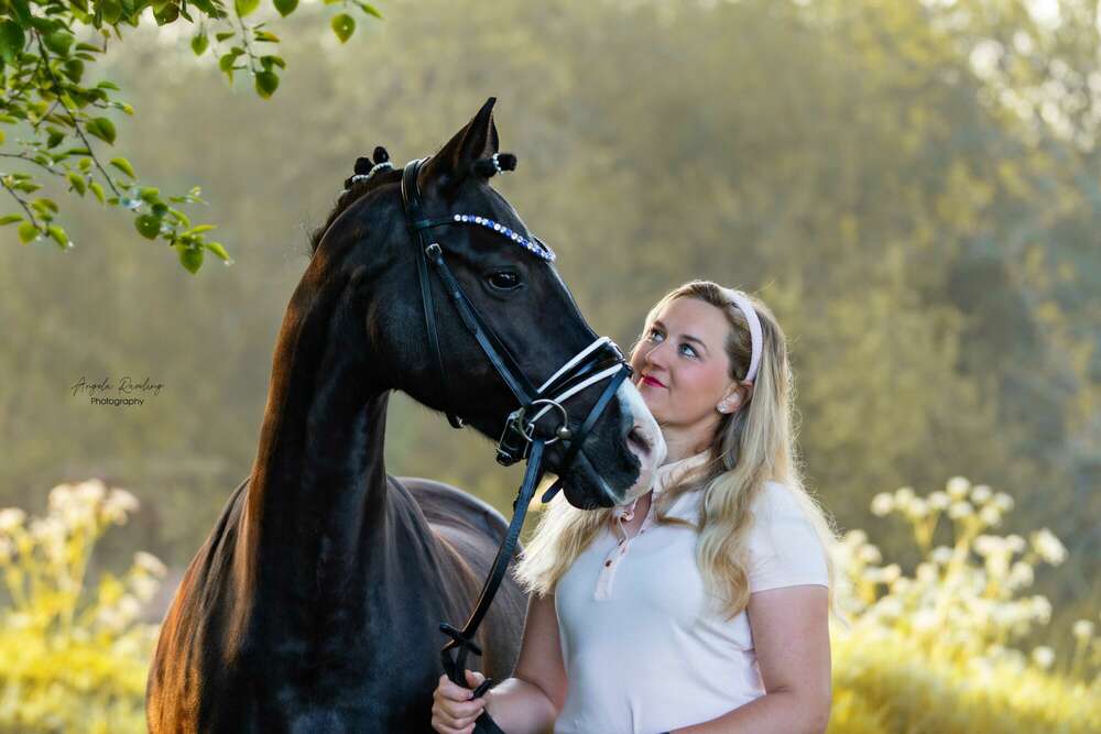 Pferdefotografie Rhede (Angela Raveling)