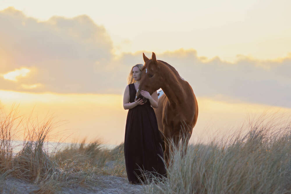 Pferdefotografie Schillig  (Angela Raveling)