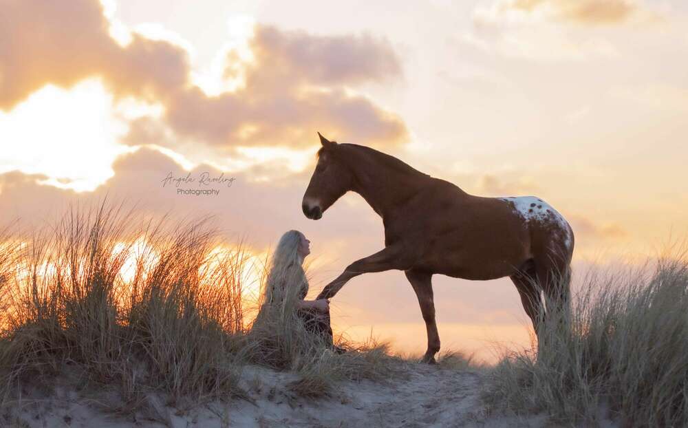 Angela Raveling (Angela Raveling)