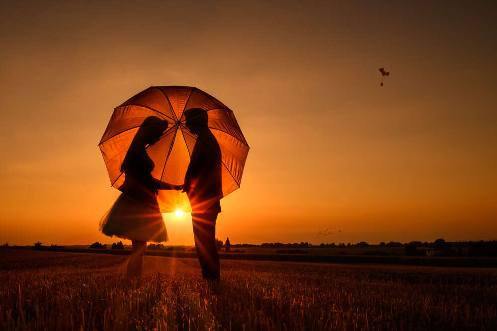 Studio Nawrath (Studio Nawrath)