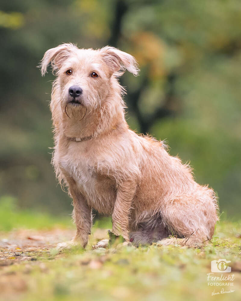 Fernlicht Fotografie (Fernlicht Fotografie)