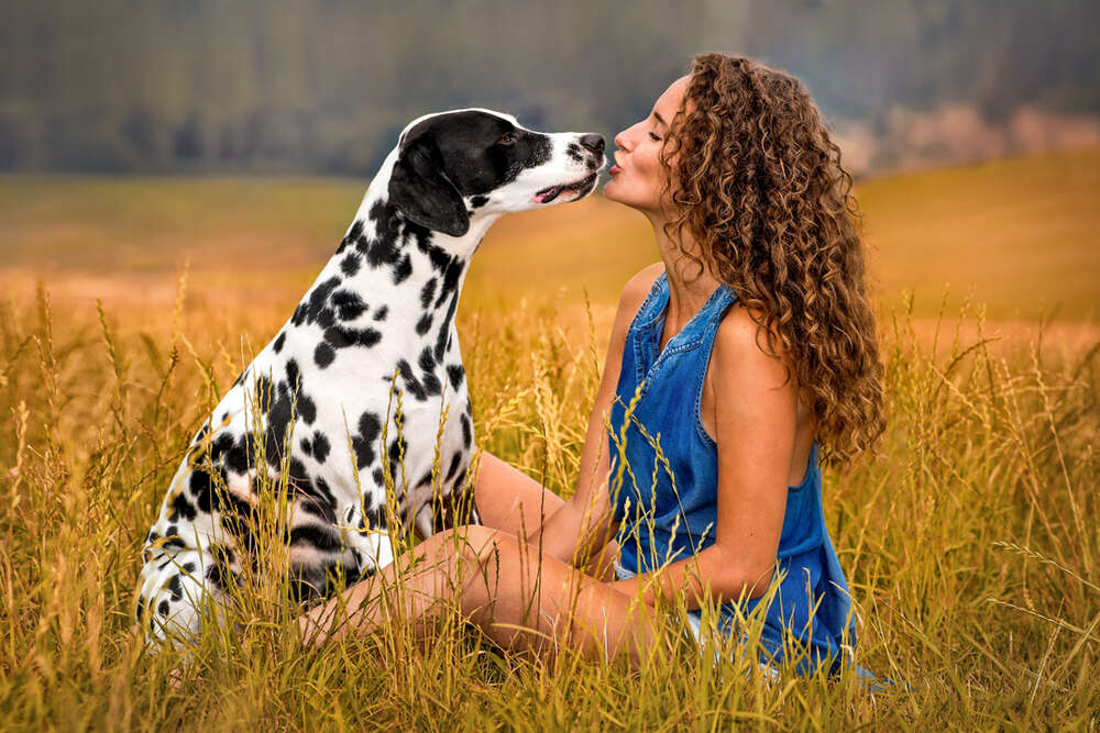 Outdoor und Studio möglich  (Regina Ambrosch Fotografie)