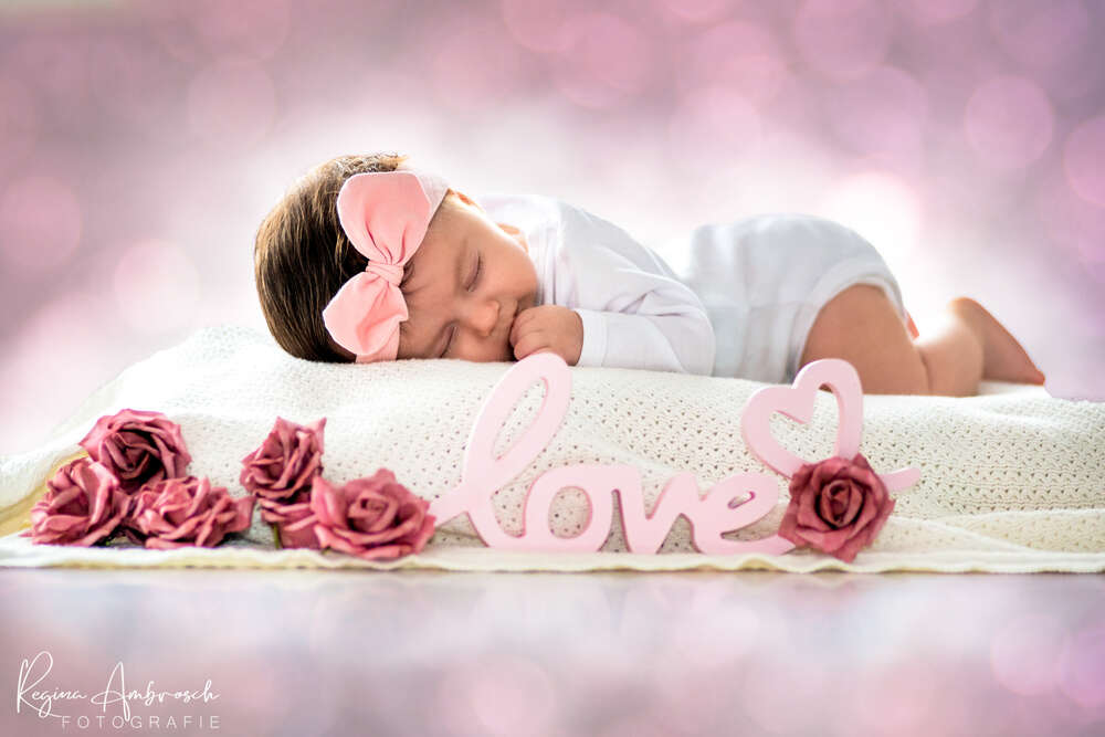 Regina Ambrosch Fotografie (Regina Ambrosch Fotografie)