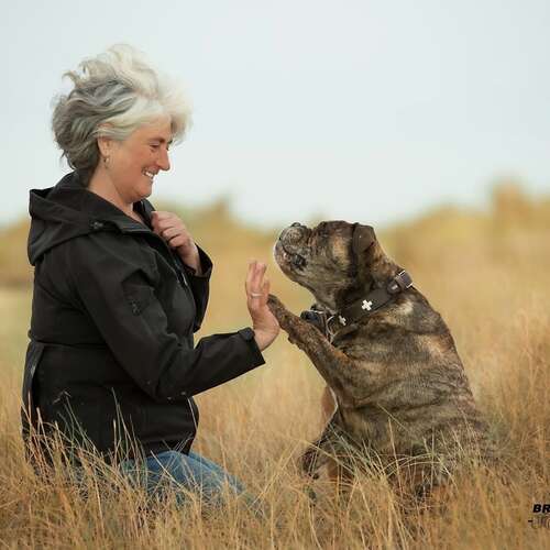 Brigitte Brandenburg Tierfotografie aus Andernach