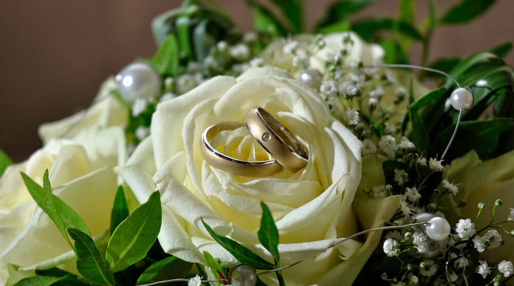 ARTWORK FOTOGRAFIE (ARTWORK FOTOGRAFIE)