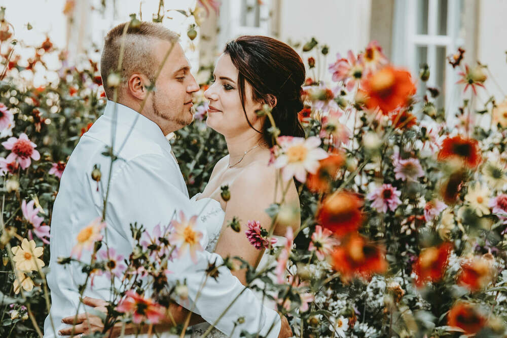 Da Vinci Fotografie (Da Vinci Fotografie)