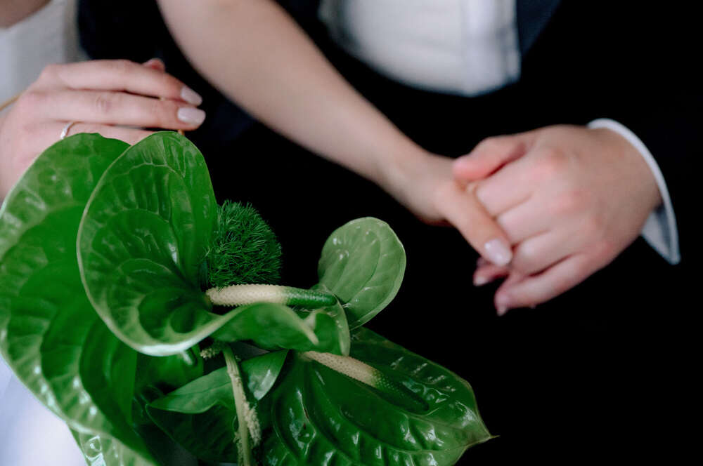 Anna_photo.de (Anna_photo.de)