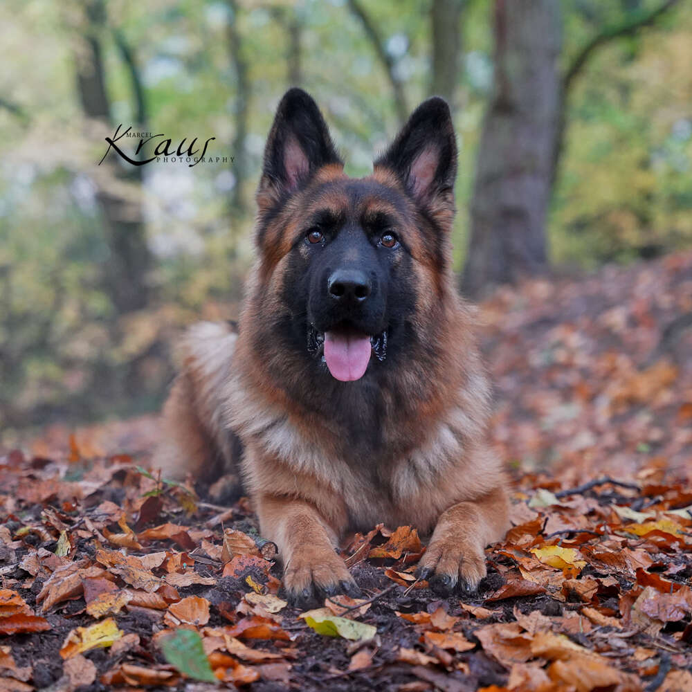 Photography by Marcel Kraus /Outdoorshootings (Photography by Marcel Kraus /Outdoorshootings)