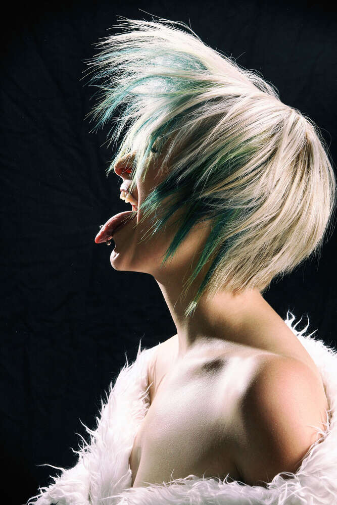 Photofactory (Photofactory)