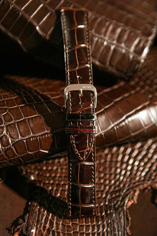 Photofactory (Photofactory)