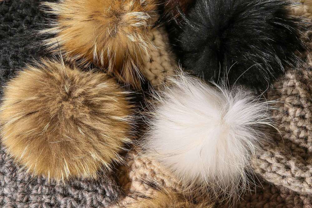 Photofactory (Photofactory)