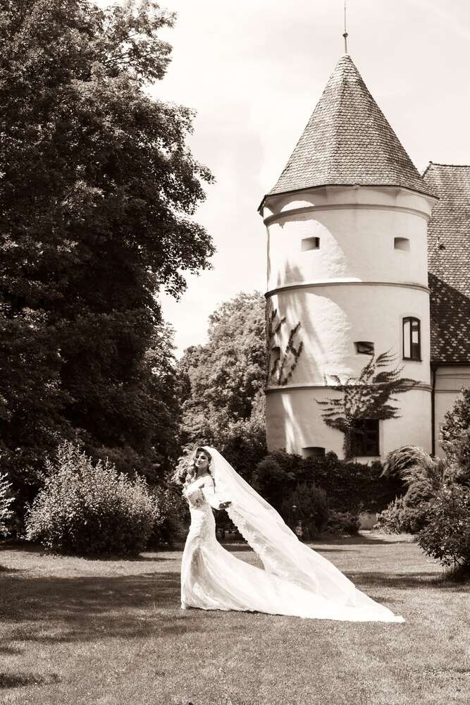 Photofactory (Photofactory)