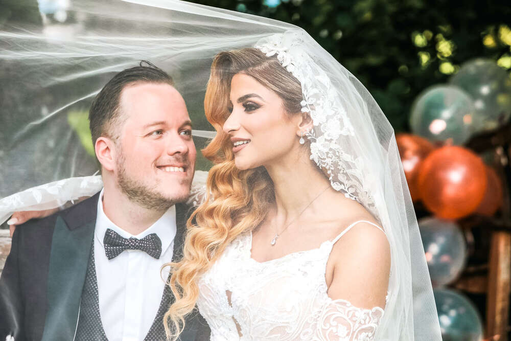 Photofactory (Photofactory)