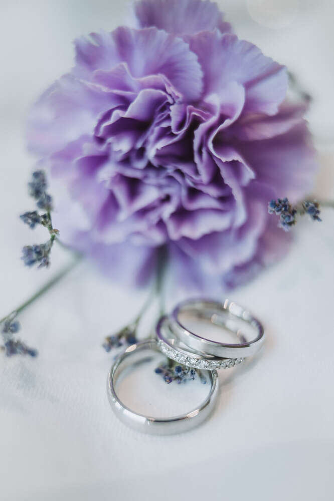 Die Trauringe (EVENTPHOTOGRAPHY.DE)