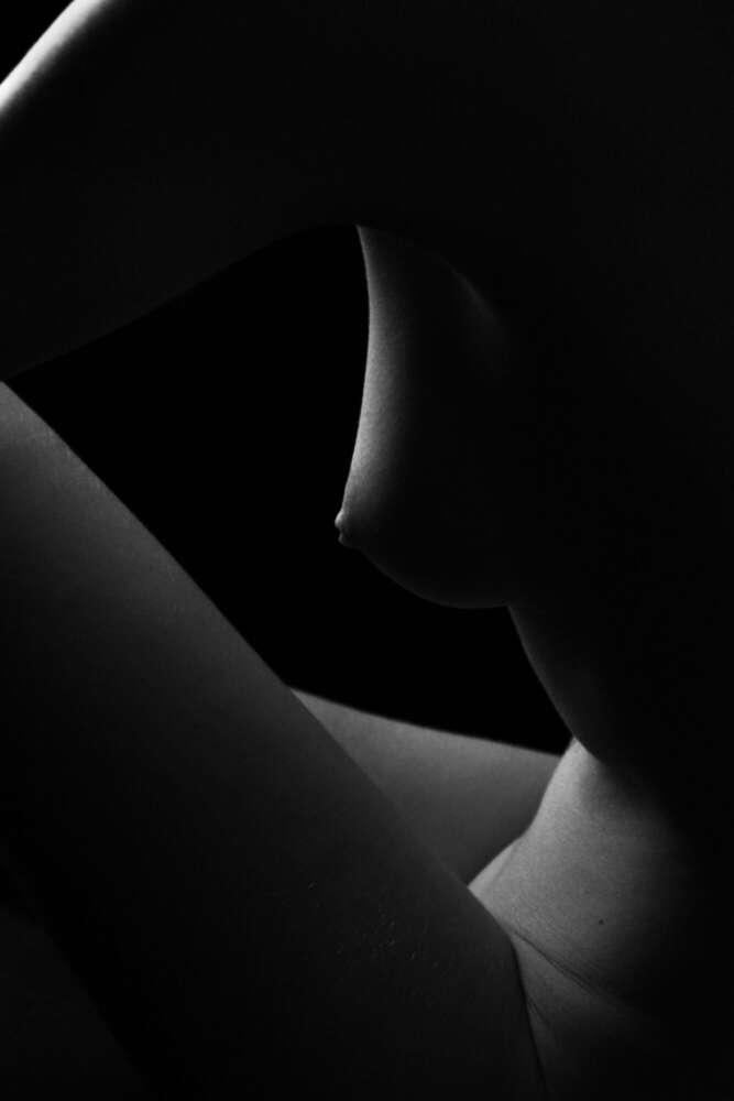 Dreieck (putnoki.photo)