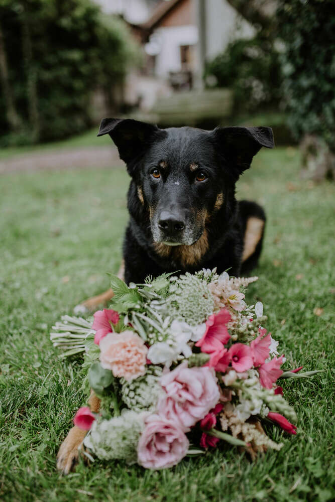 Emotion Photo - Fotografie Bianca Kothe (Emotion Photo - Fotografie Bianca Kothe)