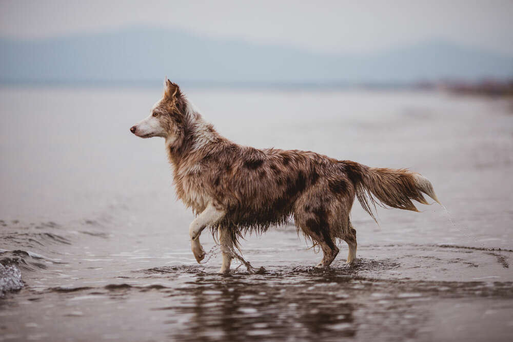 Emotion Photo - Fotografie Bianca Kothe (Emotion Photo - Fotografie Bianca Kothe)