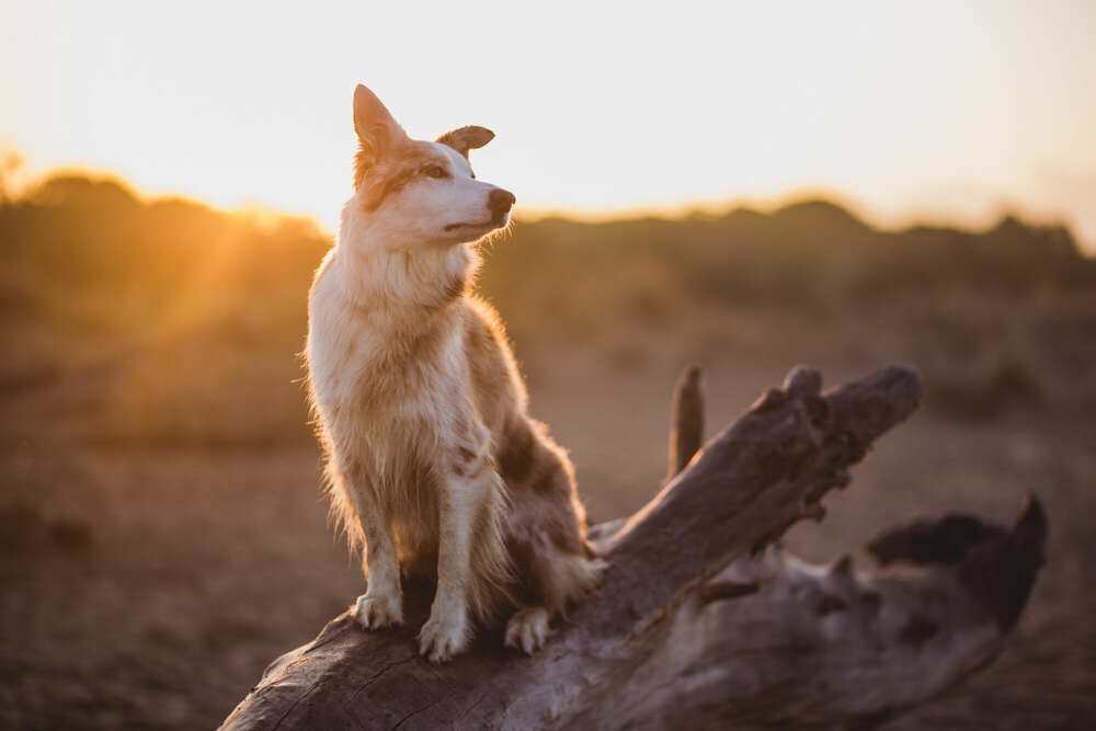 Emotion Photo - Fotografie Bianca Kothe (Emotion Photo - Fotografie Bianca Kothe)