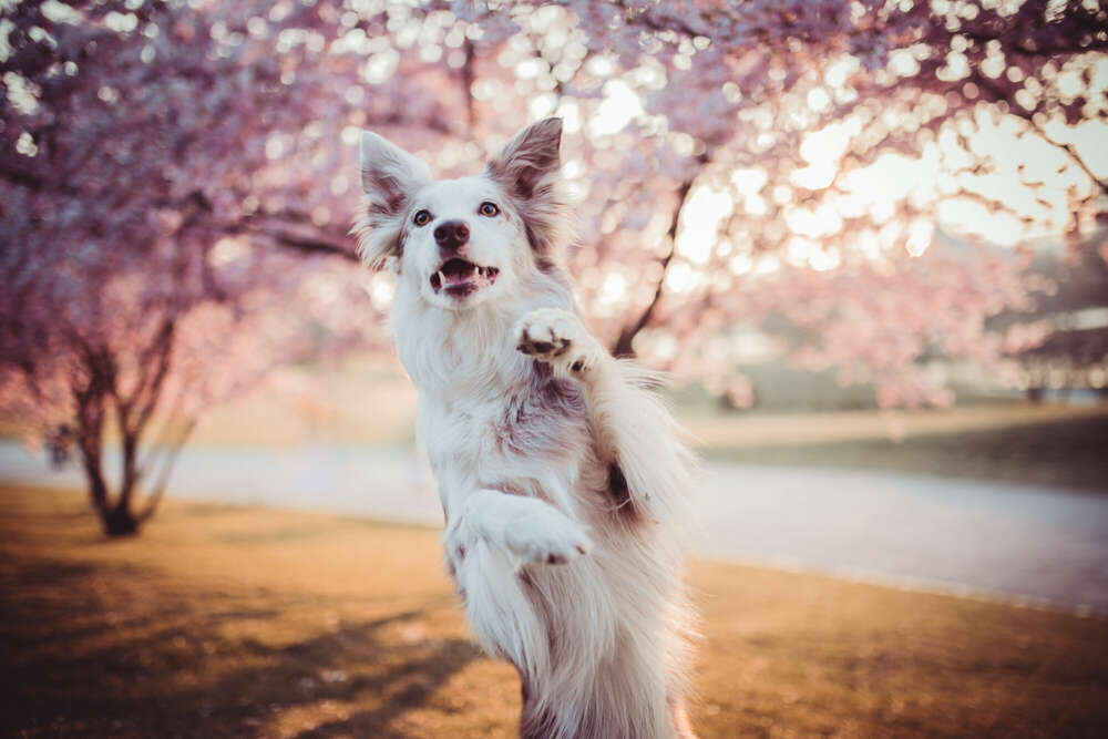 Emotion Photo - Fotografie Bianca Kothe (Emotion Photo - Fotografie Bianca Kothe)