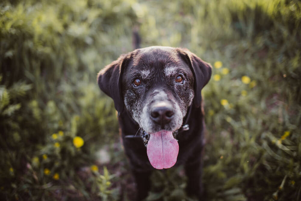 Emotion Photo - Fotografie Bianca Kothe (Emotion Photo - Fotografie Bianca Kothe)