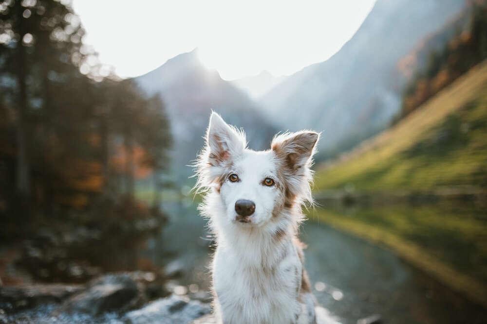 Emotion Photo - Fotografie Bianca Kothe (Emotion Photo - Fotografie Bianca Kothe)