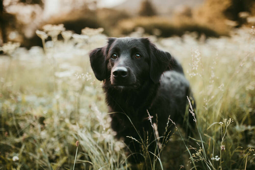 Emotion Photo - Fotografie Bianca Kothe (Emotion Photo - Fotografie Bianca Kothe)