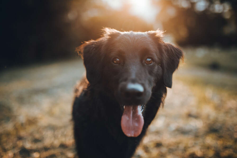 Emotion Photo - Fotografie Bianca Kothe (Emotion Photo - Fotografie Bianca Kothe)